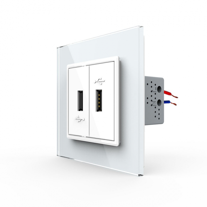 Розетка с двумя USB type-A, блоком питания 5В 2.1А Livolo, 1 пост, цвет белый