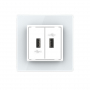 Розетка с двумя USB type-A, блоком питания 5В 2.1А Livolo, 1 пост, цвет белый