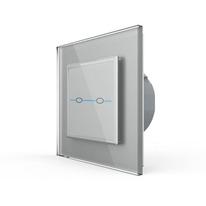 Двухклавишный сенсорный выключатель Livolo Quadro, 1 пост, цвет серый