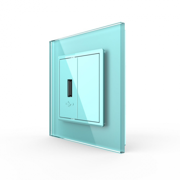 Розетка с одним USB type-A, блоком питания 5В 2.1А Livolo, 1 пост, цвет зеленый