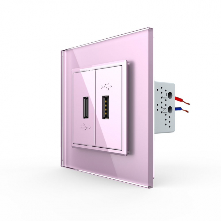 Розетка с двумя USB type-A, блоком питания 5В 2.1А Livolo, 1 пост, цвет розовый
