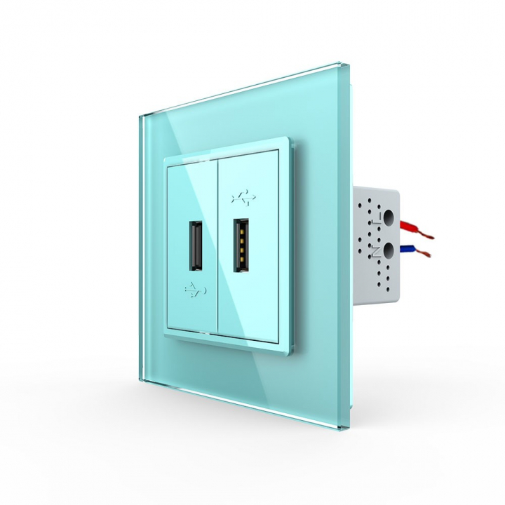 Розетка с двумя USB type-A, блоком питания 5В 2.1А Livolo, 1 пост, цвет зеленый