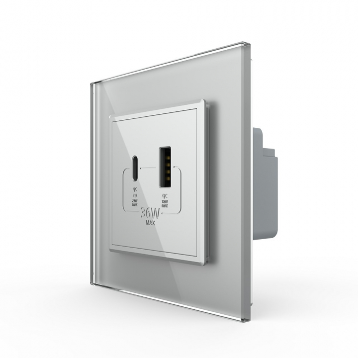 Розетка USB type-C и USB type-A, блоком питания 36W Livolo, 1 пост, цвет серый