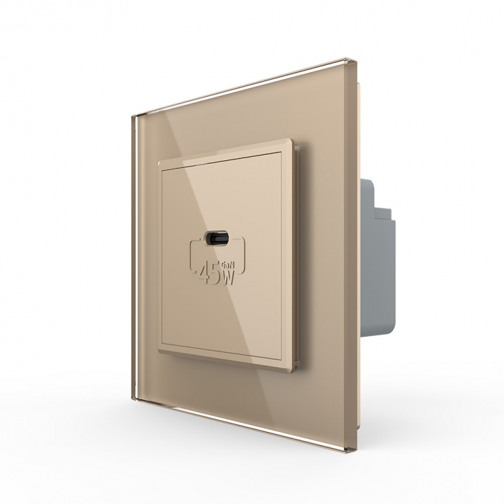 Розетка USB type-C, блоком питания 45W Livolo, 1 пост, цвет золотой
