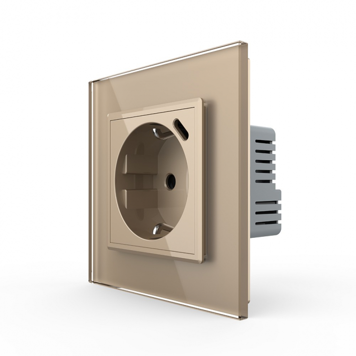 Розетка электрическая с USB type-C, блоком питания 18W Livolo, 1 пост, цвет золотой