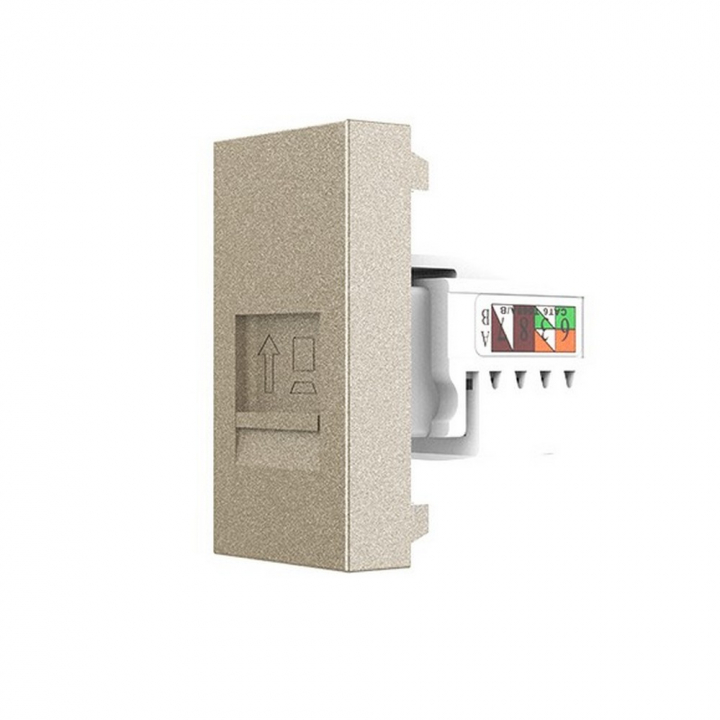Розетка интернет RJ-45 кат. 6 Livolo, цвет шампань (механизм)