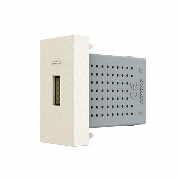 Розетка USB с блоком питания 2.1А 5В Livolo, цвет жемчужный (механизм)