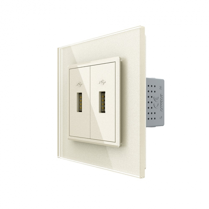 Розетка с двумя USB type-A, блоком питания 5В 2.1А Livolo, 1 пост, цвет жемчужный