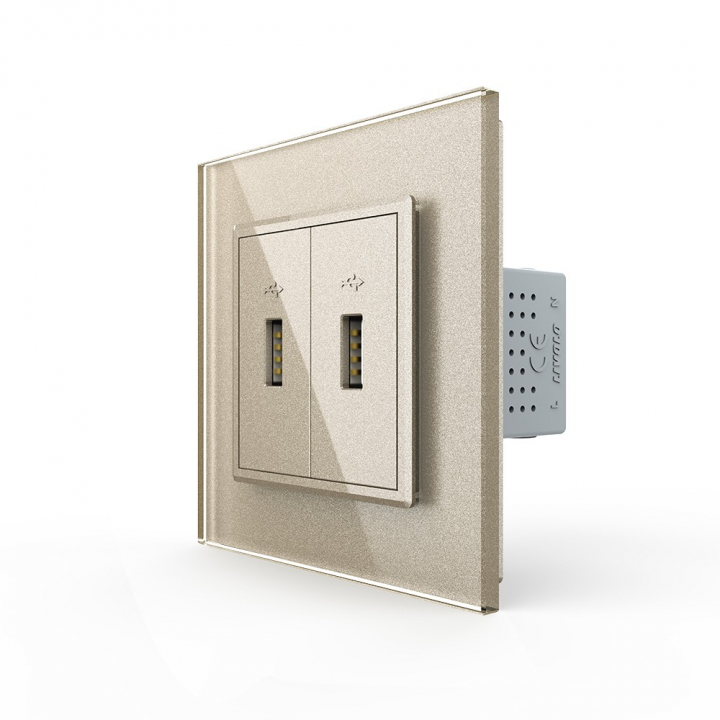 Розетка с двумя USB type-A, блоком питания 5В 2.1А Livolo, 1 пост, цвет шампань