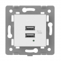 Розетка LivoloTouch 2USB с блоком питания 2.1А 5В для рамки Livolo, цвет белый (механизм)