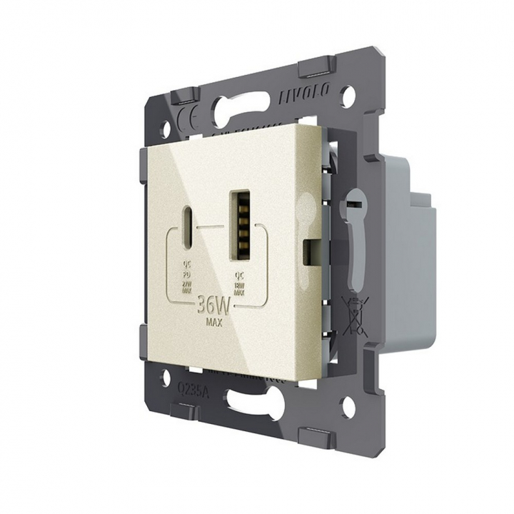 Розетка USB type C+A с блоком питания 36W Livolo, цвет жемчужный (механизм)
