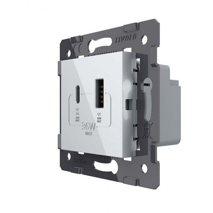 Розетка USB type C+A с блоком питания 36W Livolo, цвет серебристый / алюминий (механизм)