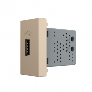 Розетка USB с блоком питания 2.1А 5В Livolo, цвет золотой (механизм)