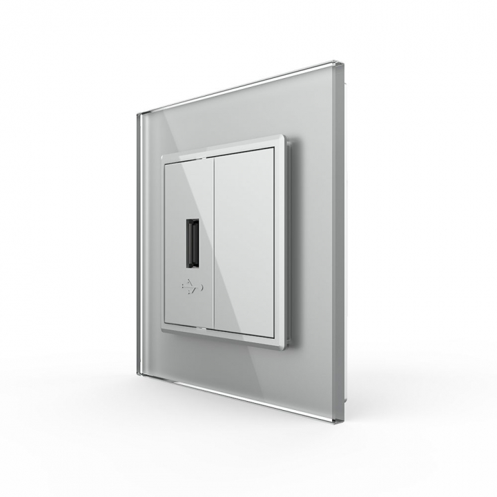 Розетка с одним USB type-A, блоком питания 5В 2.1А Livolo, 1 пост, цвет серый